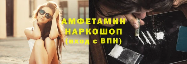 индика Волосово