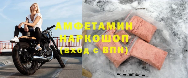 индика Волосово
