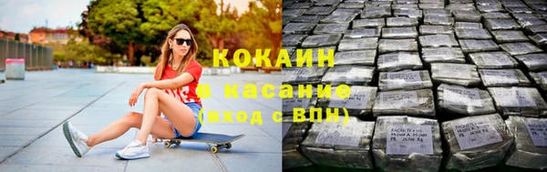 индика Волосово
