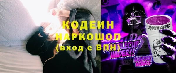 индика Волосово